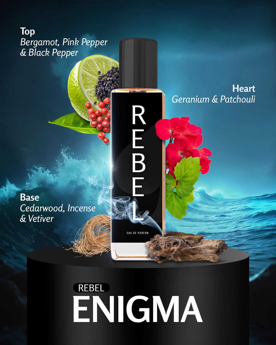 Rebel Enigma
