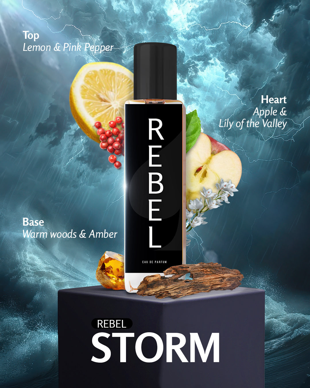 Rebel Storm