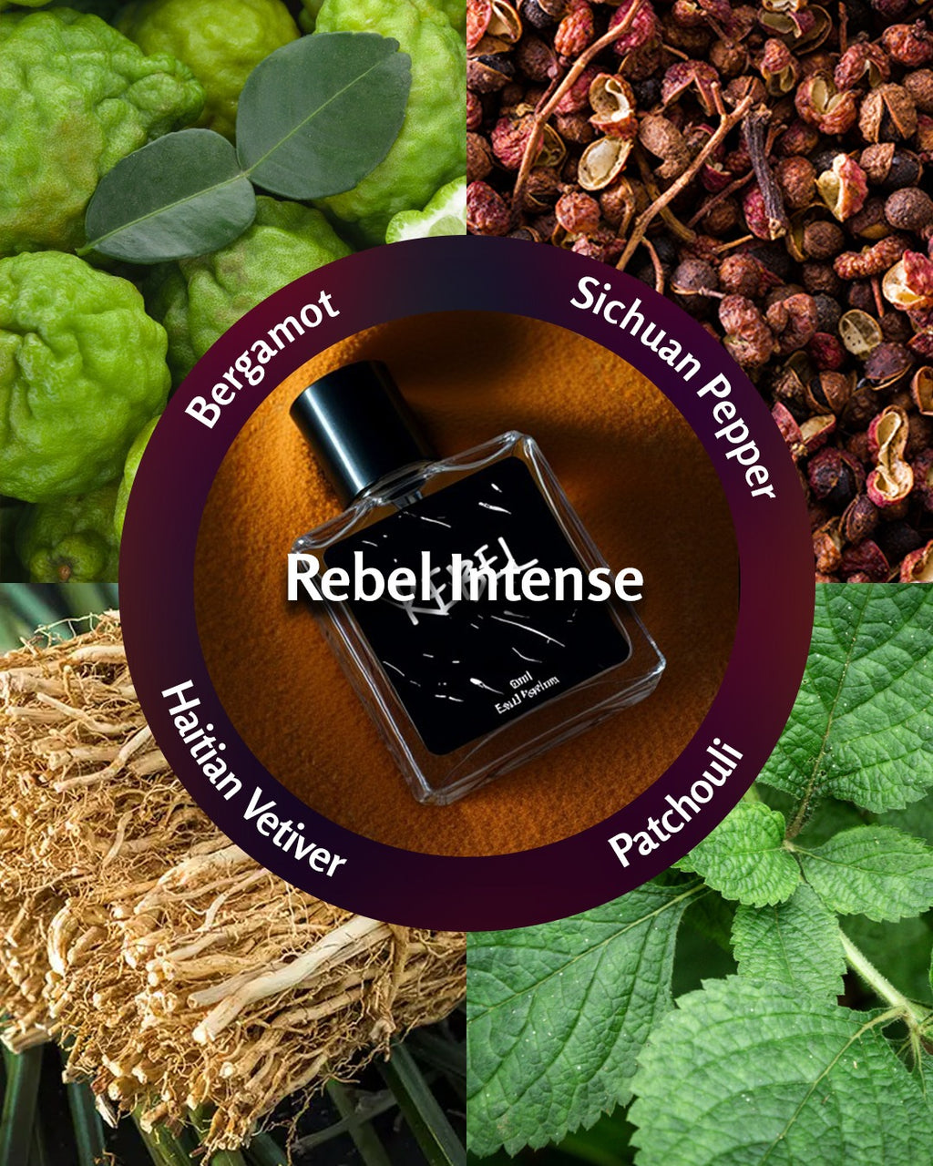 rebel intense sri lanka